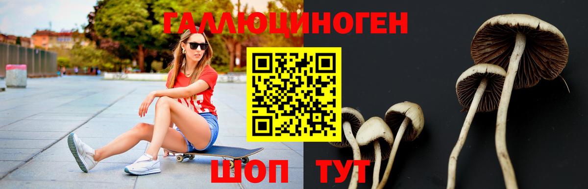 Соль-Илецк  Псилоцибиновые грибы Psilocybe  Вход с VPN  Галлюциногенные грибы Magic Shrooms 